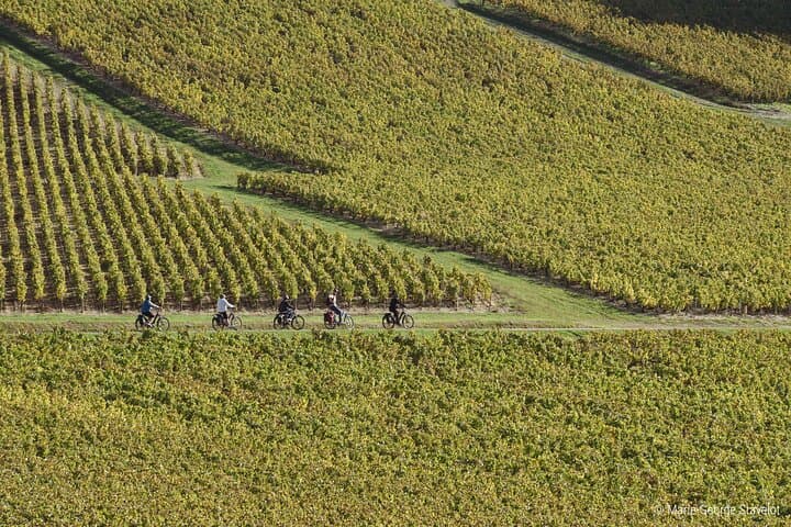 View of the vineyards of Chablis 1er cru