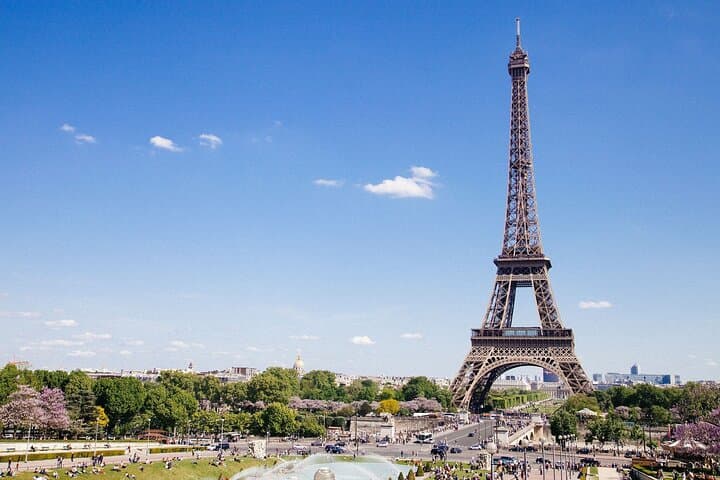 Airport transfer from Paris to Disneyland Paris/Parc Asterix (8pax)