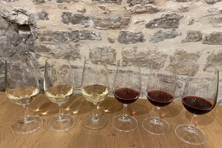 Wine tasting in Dijon