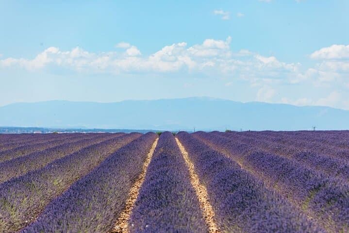 Private Tour of Gorges of Verdon and Fields of Lavender in Nice