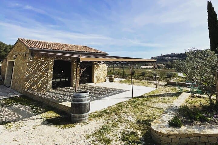 Cellar Visit & Bandol Wine Tasting (in French)