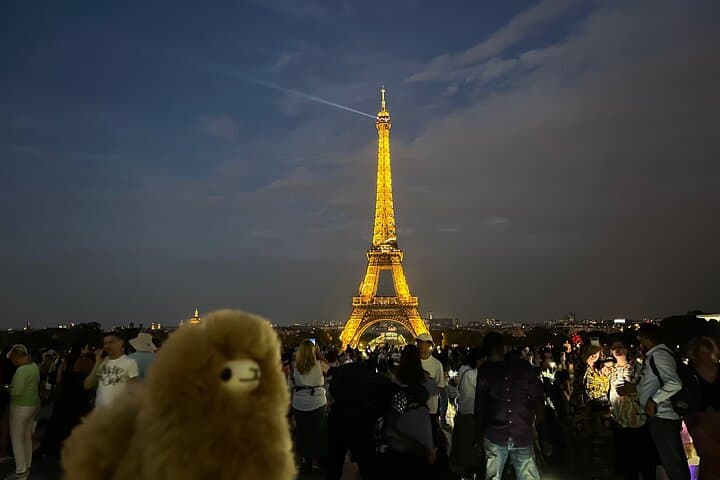 3-Hours Walking Tours Around Paris - Choose your own!