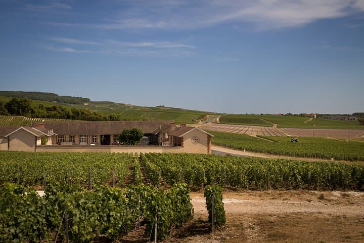 One of many pressing centres for Moet & Chandon