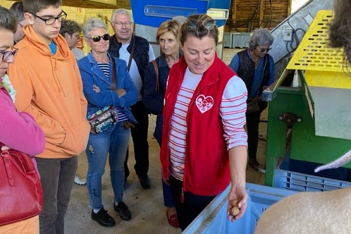 guided tour