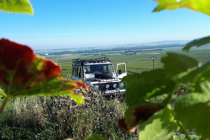 https://media-cdn.tripadvisor.com/media/attractions-splice-spp-720x480/12/4a/0c/a8.jpg