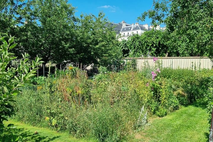 my secret garden of the 7th