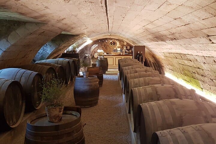 Loire Valley Castles Private Tour From Paris/skip-the-line ticket
