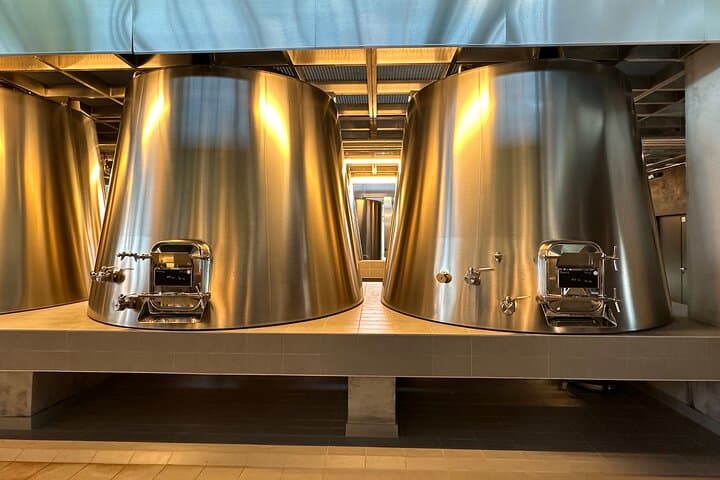 Visits and Tastings in the Médoc in Small Group with Meal