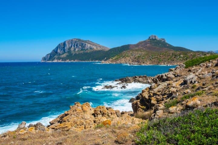 Figari Airport Transfer