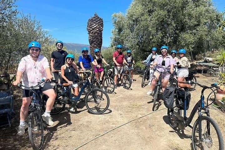 Small Group Guided E-bike Tour in Nice's Organic Vineyard