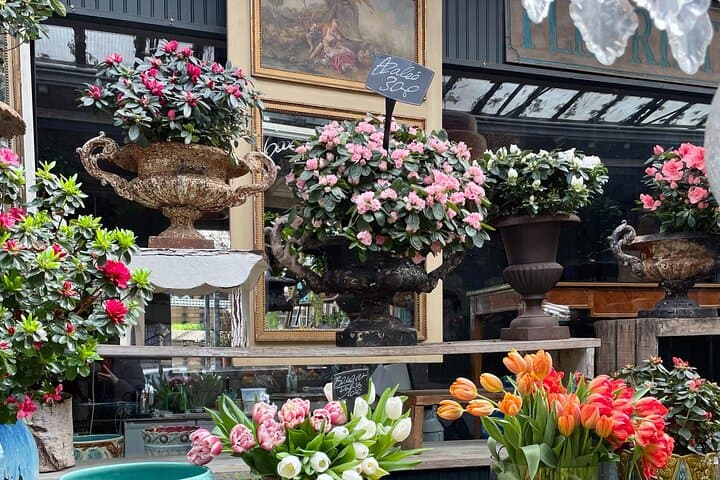 flowers in antique pots