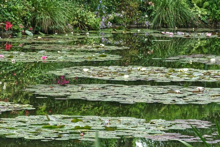 Le Havre Shore Excursion: Private Giverny & Medieval Rouen