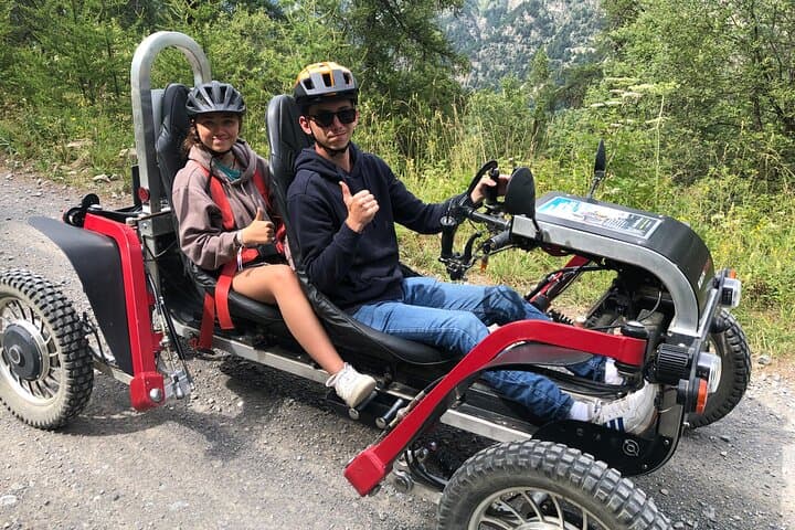 forest outing