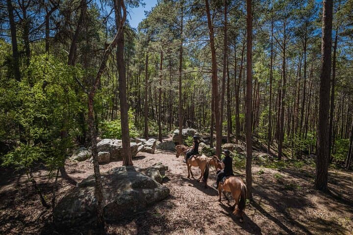 Horse riding in the Forest of Fontainebleau
