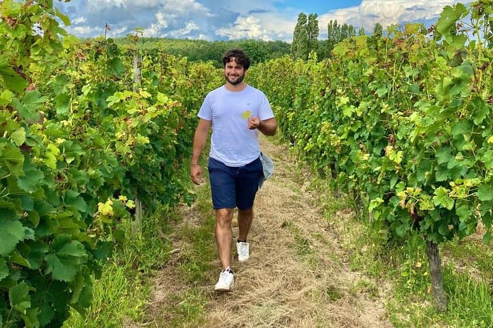 Assemble your own wine cuvée in the vineyard