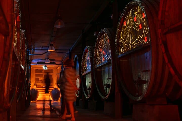 Immersive cellar tour, tasting and picnic basket