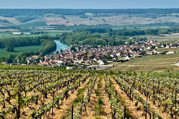 Hautvillers Viewpoint