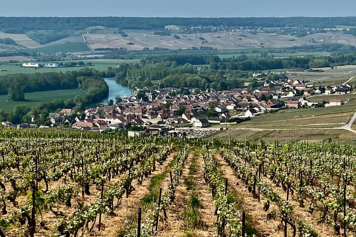 Hautlivvers