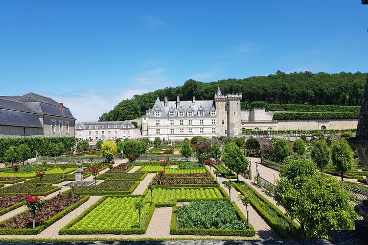 Loire Valley Half Day : Villandry and Azay-le-Rideau from Tours