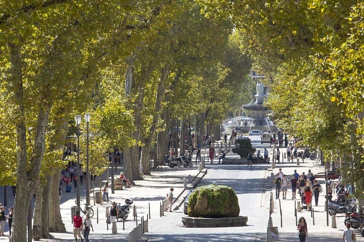 Provence, Vineyards and Lavender Fields Private Day Trip