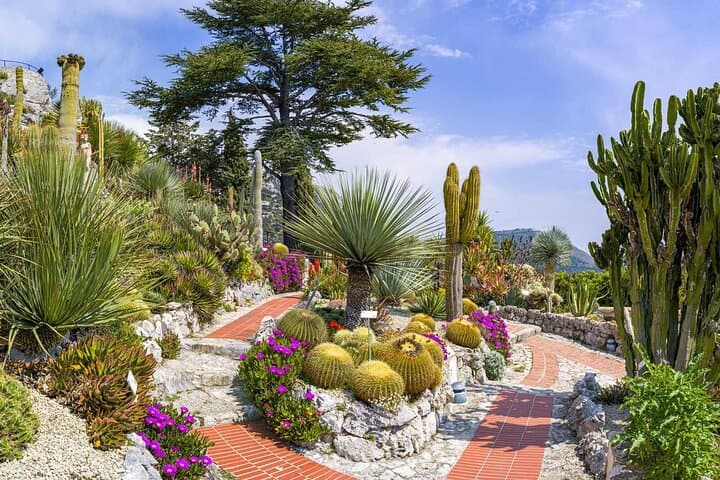 The Best Perched Villages of the French Riviera Private Tour