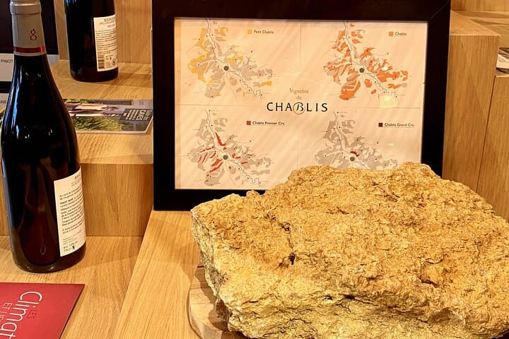 Private Exquisite Red & White Burgundy Wines Trip from Paris