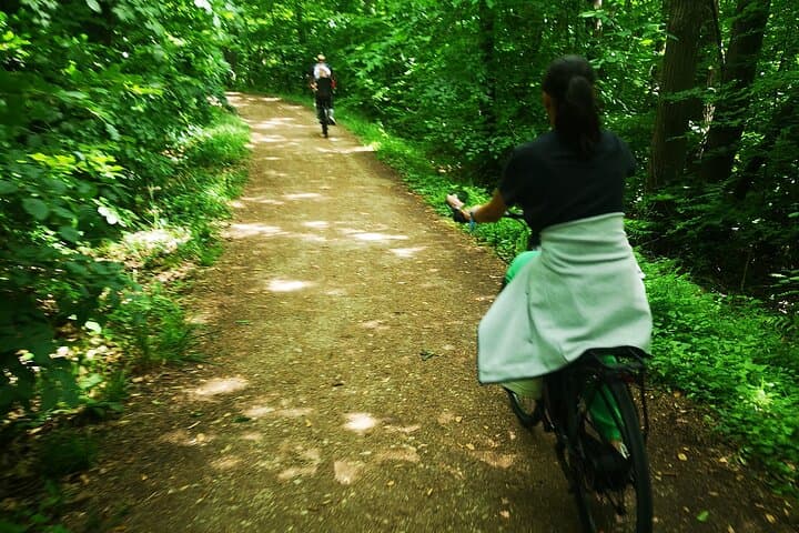 Forest of False Rests