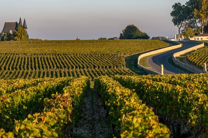 Margaux & Médoc: half day private tour in a classic car