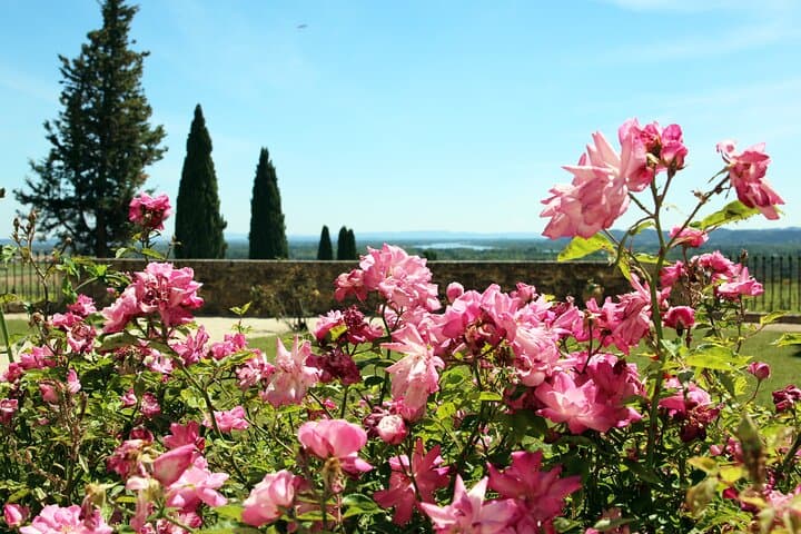 Two intensive days visiting the most famous vineyards of the Châteauneuf-du-Pape & Rhône valley appellation with lunch at two local restaurants with wine paring.
