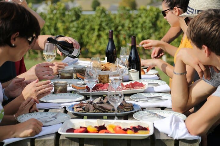 Lunch in the vineyard