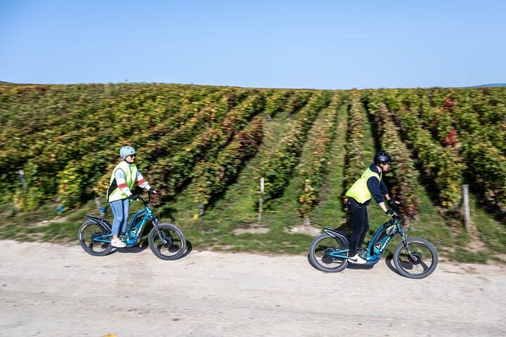 E-Scooter Private Tour and Tasting