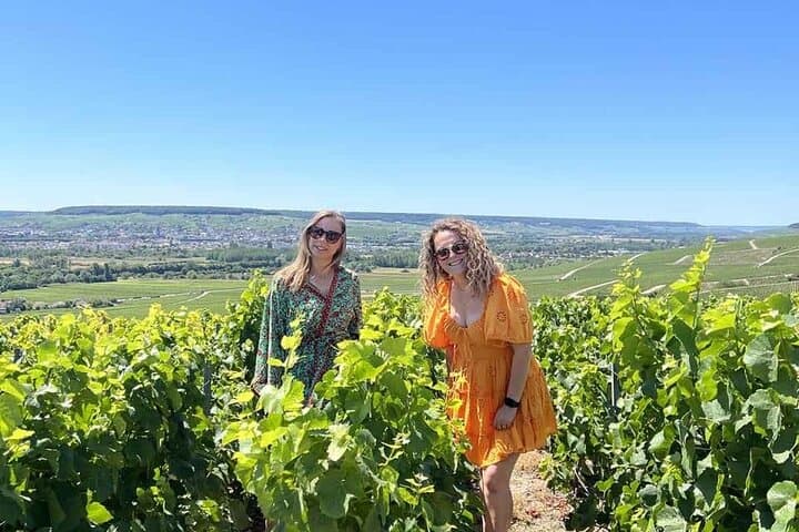 The Connoisseurs from Reims (Private Half day Tour)
