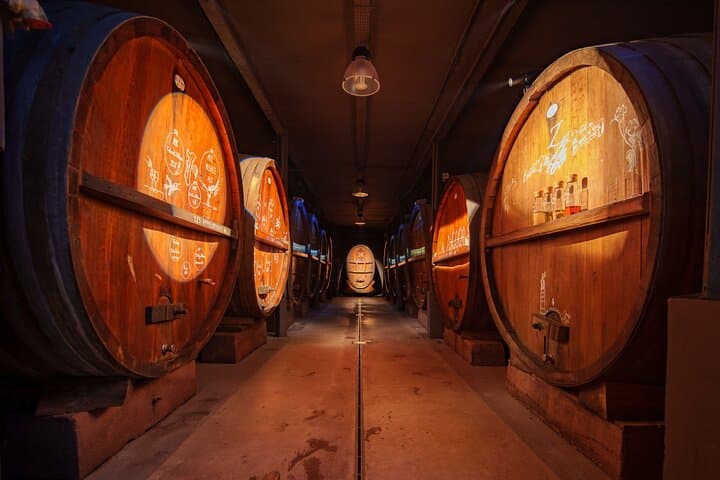 Immersive cellar tour - tasting and Alsatian brunch