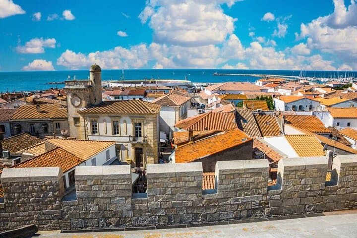 Arles and Camargue Full Day Private Tour from Marseille or Aix