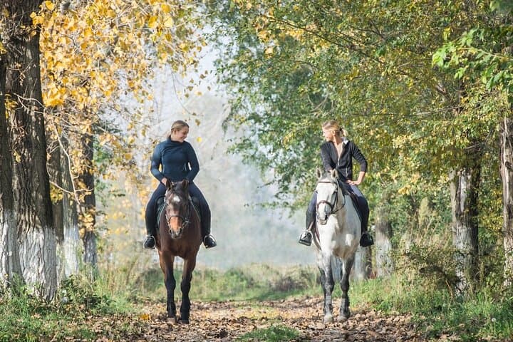 Horse-riding in the Loire Valley forest