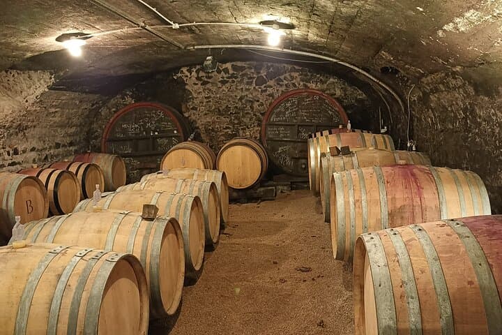 Beaujolais Day Guided Tour - Winery Tours and Tastings
