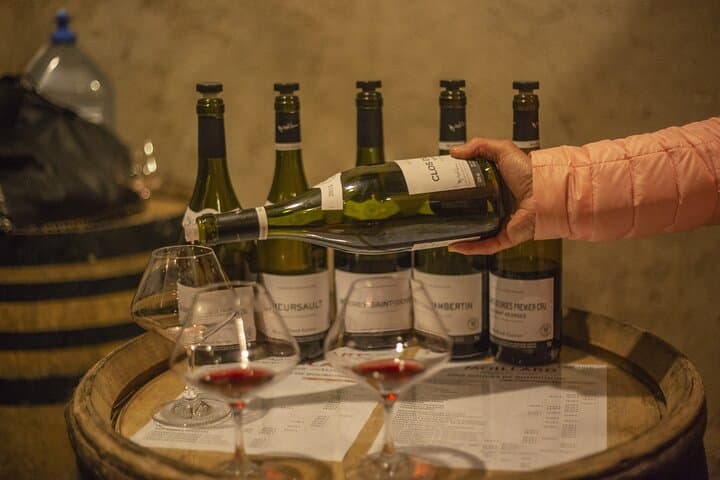 Private wine tour in Côte de Nuits and Côte de Beaune