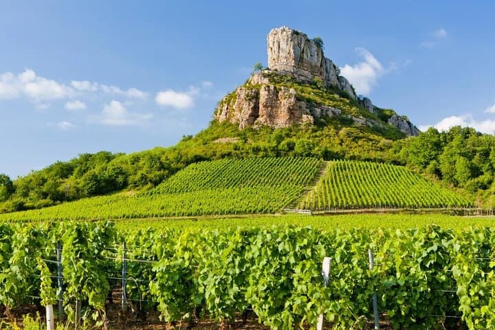 The Roche de Solutré towers over excellent crus