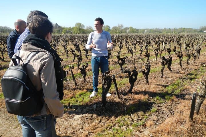 Visit of the Domaine, tasting and Wine courses near Nantes