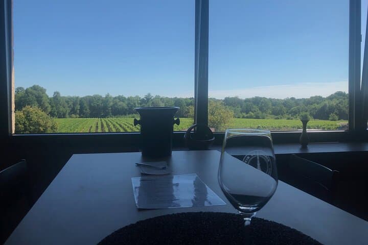 Visit of the Domaine, tasting and Wine courses near Nantes