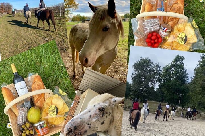 Wine Degustation, Visit and Masterclass in Chateau L'Eperon