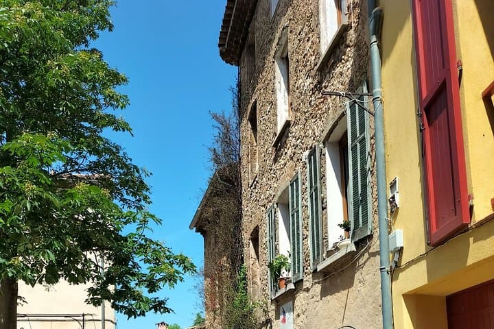 Aix Signature Wine Tour by Tom: Vineyard Visit, Picnic & Pétanque