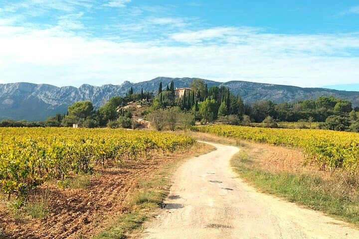 Aix Signature Wine Tour by Tom: Vineyard Visit, Picnic & Pétanque
