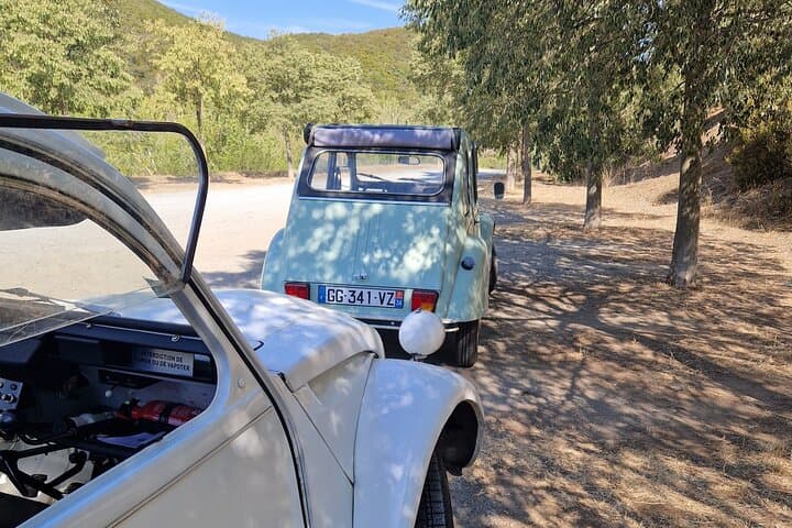 Discovery tour in 2hp with or without driver Hérault