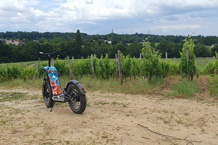 Off-road scooter tour tasting 2 wines in La Louvière