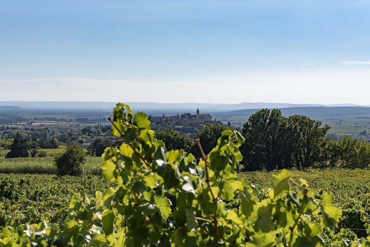 EXPLORATION - Visit of the estate, the cellars & tasting