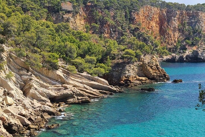 Viewpoint to the pine forest of La Madrague in Saint-cyr-sur-mer. After taking the coastal path.