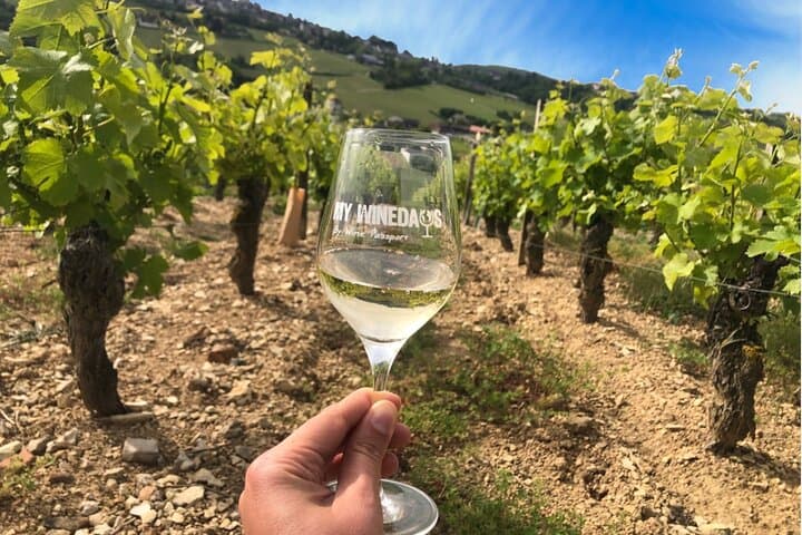 Sancerre VIP Wine Day from Paris: 8 Tastings & Premium Lunch