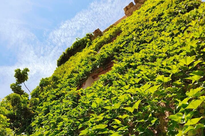 Western French Riviera & delightful Pic Nic in the countryside