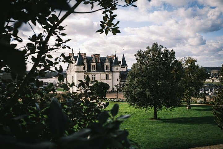 Private Day Tour in Chambord Chenonceaux and Amboise from Paris